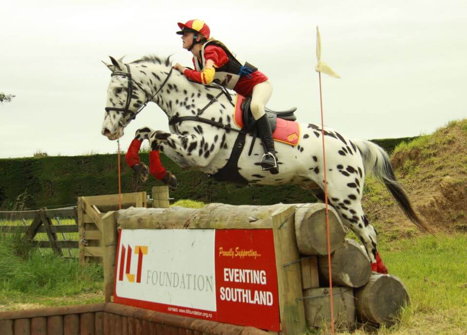 Applossa Sport Horse Eventing